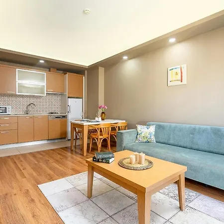 套房公寓 公寓式酒店